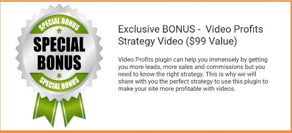 wp-video-profits-bonus