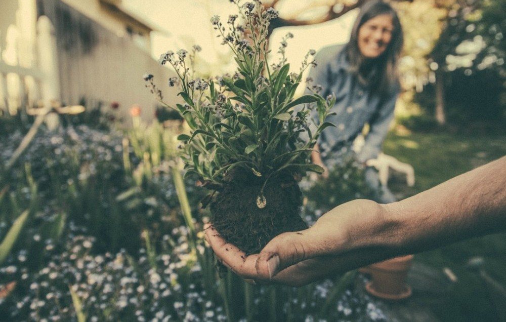 gardening skills as an adult