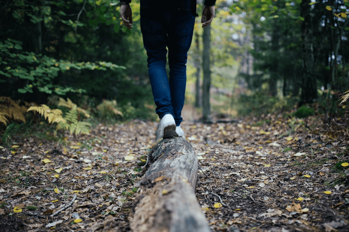 person walking in a forest improve your company's stability