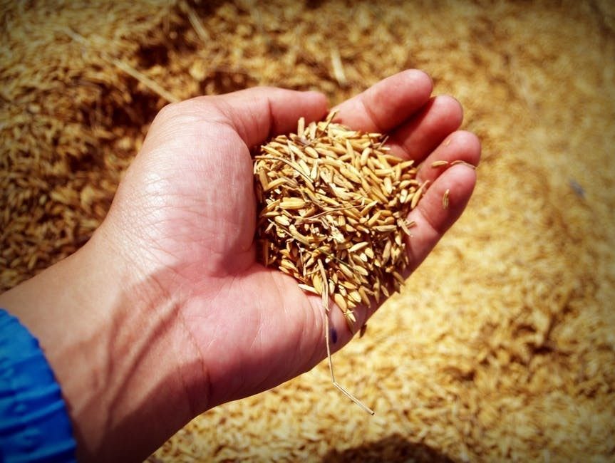 selling grains in agriculture